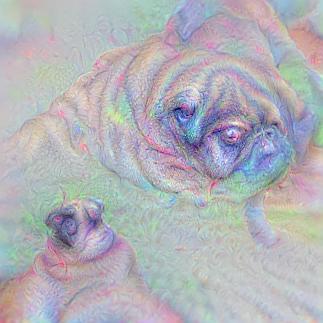 Pug