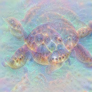 Loggerhead turtle