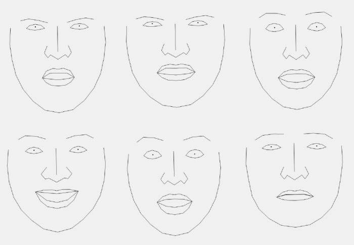 the face model