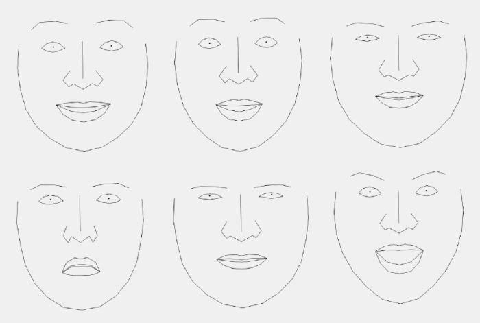 the face model